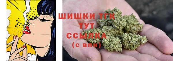 дмт Алексеевка