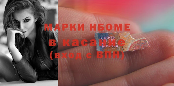 стаф Алзамай