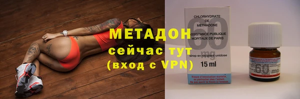 стаф Алзамай