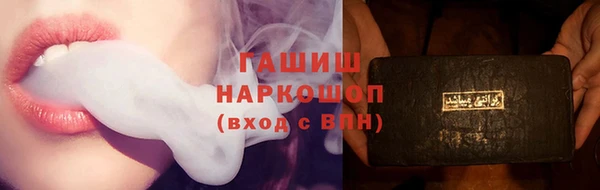 стаф Алзамай