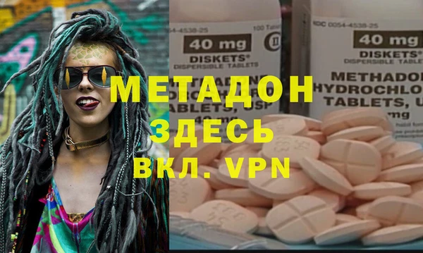 стаф Алзамай
