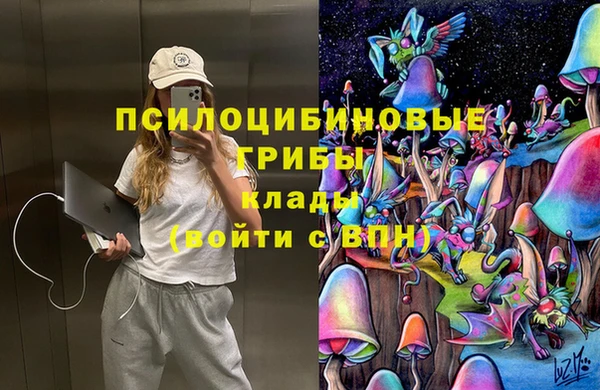 дмт Алексеевка