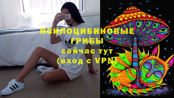 стаф Алзамай