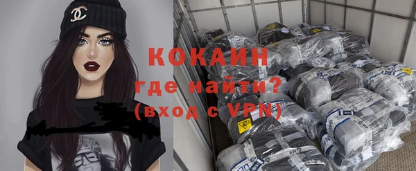 стаф Алзамай