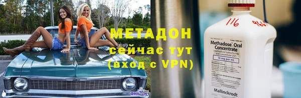 стаф Алзамай